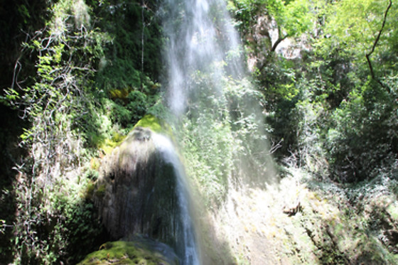 River Tribe - photo 15