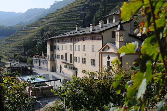 Casa Vinicola Triacca - photo 0