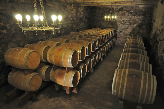 Casa Vinicola Triacca - photo 1