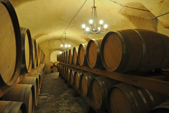 Casa Vinicola Triacca - photo 2