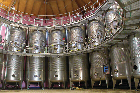 Casa Vinicola Triacca - photo 4