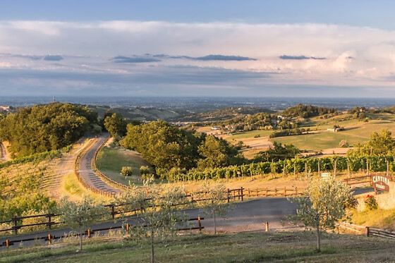 Cantina Il Poggio - photo 4