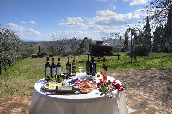 Azienda Agricola Tamburini - photo 4
