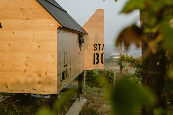 Francedo Dimora In Vigna - photo 3