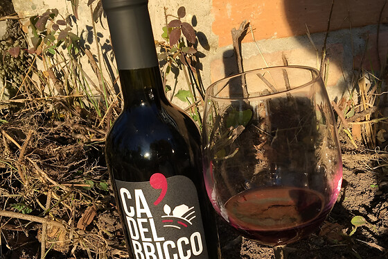 Cascina cà del bricco - photo 4