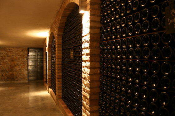 Cantina Peri Bigogno - photo 0