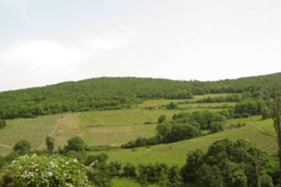 Le relais du colombier - photo 15