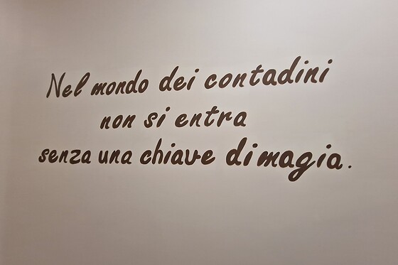 Gustarosso Rooms - photo 4