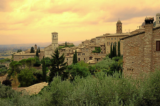 La Paterna di Rigomagno - photo 1