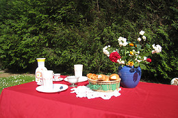 La Fontaine Fleurie