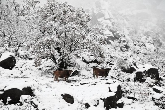 HOTEL CASTRUM VILLAE 3* - photo 14