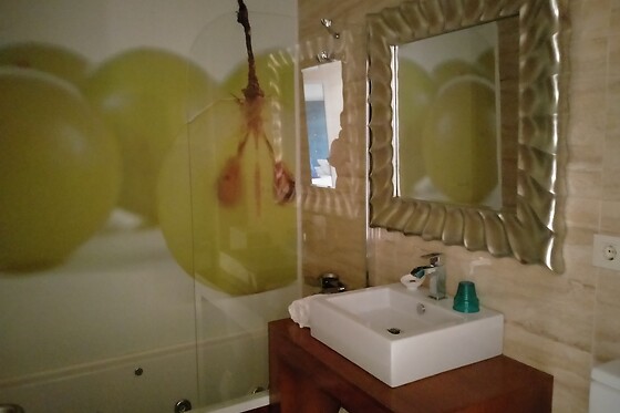 VINOHOTEL 7 UVAS - photo 7