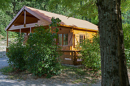 Le Chalet bois de Célio