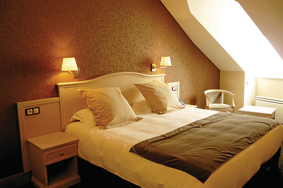 Best Western Le Duguesclin - photo 7