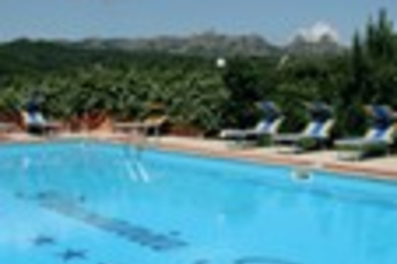Hotel Pausania Inn - photo 9