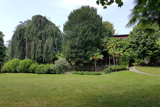 B&B Villa Magnolia - photo 6