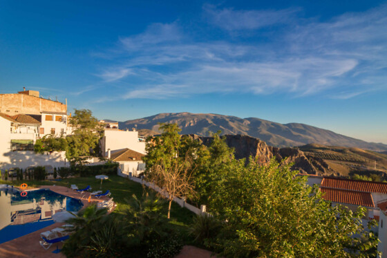 HOTEL ANDALUCIA DE LANJARON - photo 23