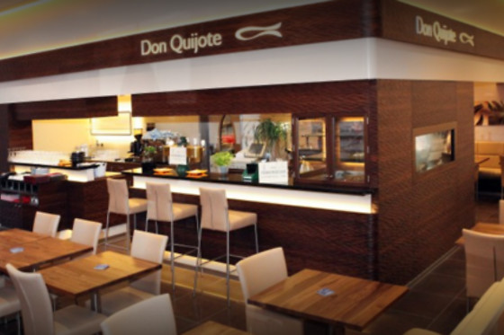 Don Quijote - photo 13