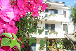 B&B Certe Notti