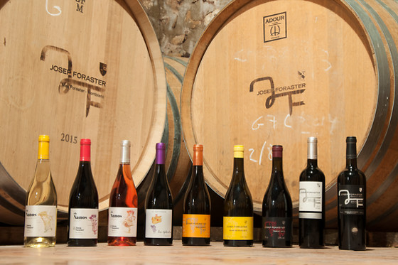 CELLER JOSEP FORASTER - photo 1