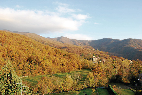 Alla Battuta ­B&B - photo 1