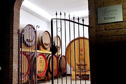 Aminea_winery