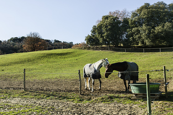 Domaine de la Trille - photo 1