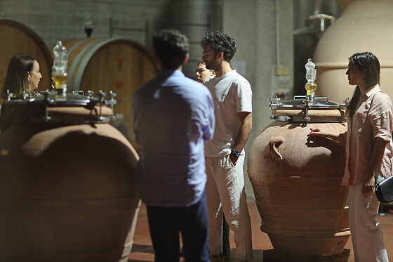 Az. Agricola Conti Zecca - photo 3