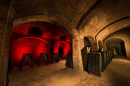 Cantine Bosca