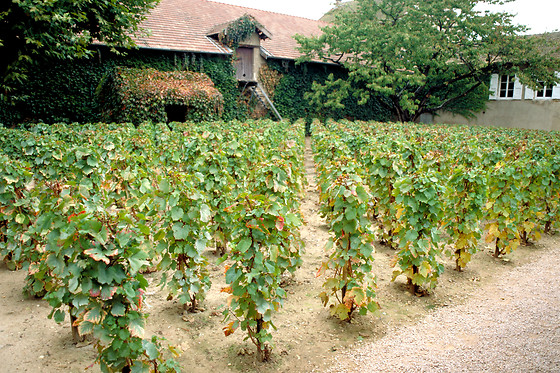 Hameau Duboeuf - photo 8