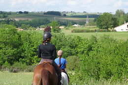 Un Poney, une histoire