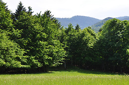 Ferme SAXERMATT