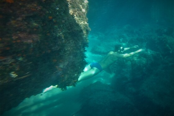 THE BLUE JUMP ECODIVING - photo 1