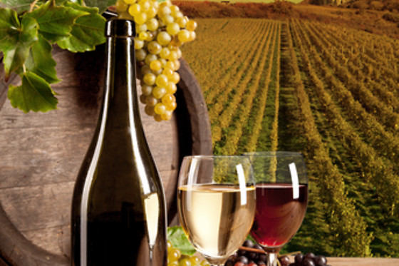 BODEGA GARGALO - photo 2