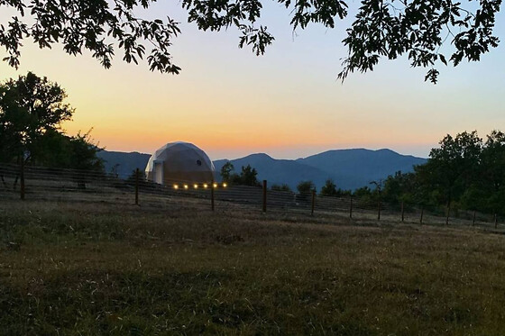 Aura Glamping - photo 8