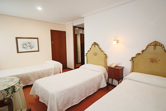 HOTEL SANTILLANA - photo 8