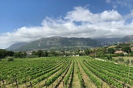 Azienda Agricola Astone