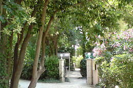 L'Orangerie