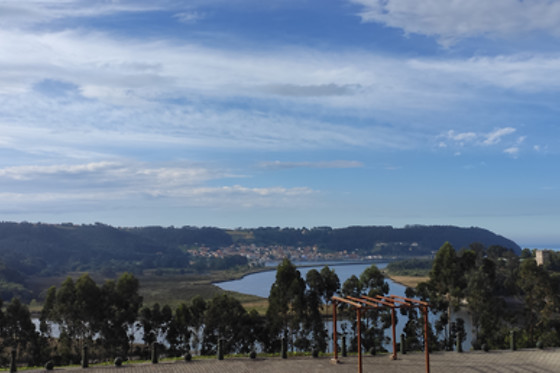 HOTEL PALACIO DE LA MAGDALENA - photo 22