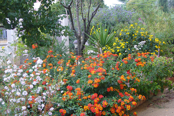 B&B S. Elia - photo 1
