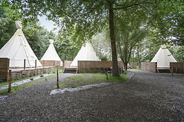Camping les Rives de Grand Lieu