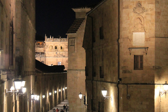 SALAMANCA ESPECTACULAR - photo 2
