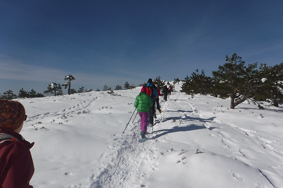 PLANETSPORT MULTIAVENTURA - photo 5