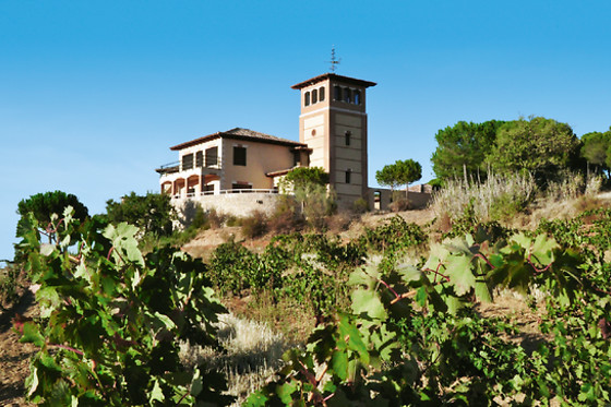 POSADA LOS CONDESTABLES HOTEL & SPA - photo 4