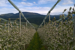 Agritur NonSoloMele