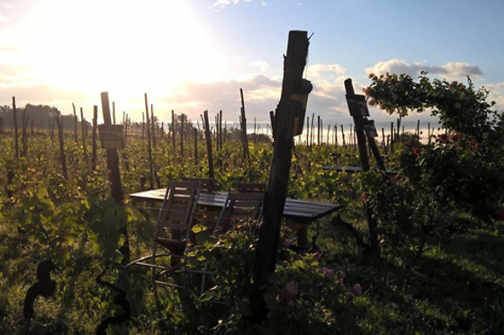 Cascina La Maddalena Bed & Wine - photo 6