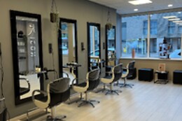 Salon Mic