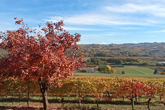 Cascina Perfumo - photo 3