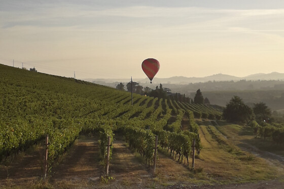 Cascina Perfumo - photo 0