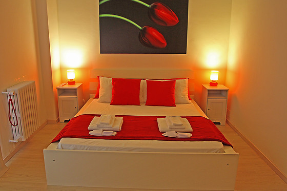 Il Tulipano - photo 0